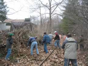 Acton Trail Clearing