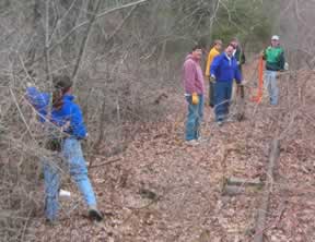 trail clearing