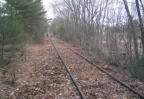 trail clearing